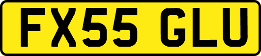 FX55GLU