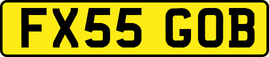FX55GOB