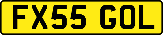 FX55GOL