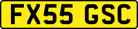 FX55GSC