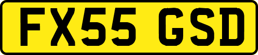 FX55GSD