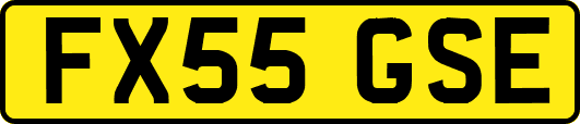 FX55GSE