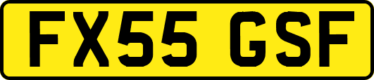 FX55GSF