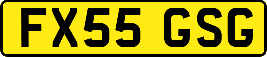 FX55GSG