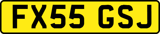 FX55GSJ