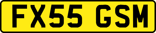 FX55GSM