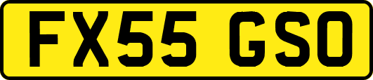 FX55GSO