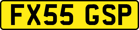 FX55GSP