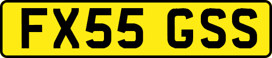 FX55GSS