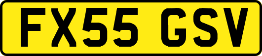 FX55GSV