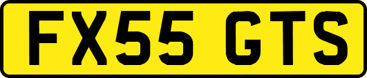 FX55GTS