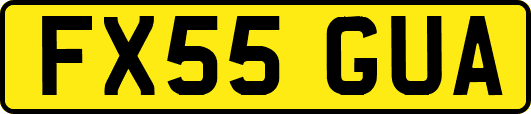 FX55GUA