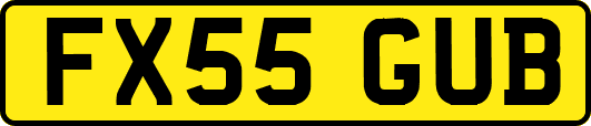 FX55GUB