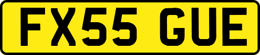 FX55GUE