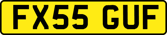 FX55GUF