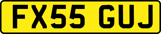 FX55GUJ