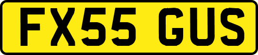 FX55GUS