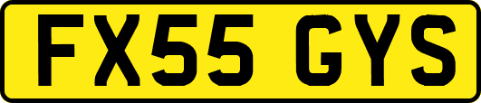 FX55GYS