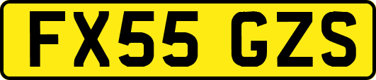 FX55GZS