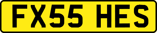 FX55HES