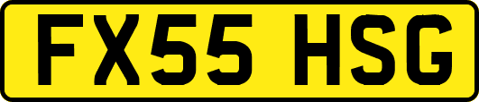 FX55HSG