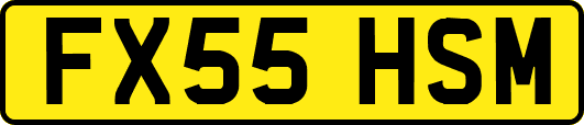 FX55HSM