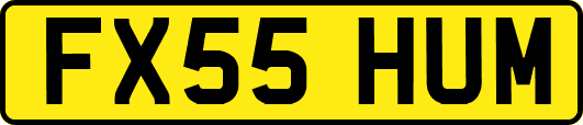 FX55HUM