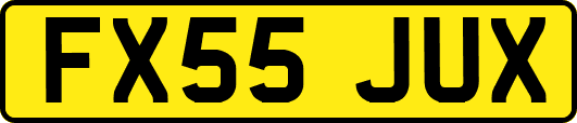FX55JUX