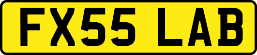 FX55LAB
