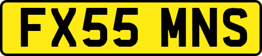 FX55MNS