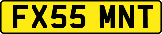 FX55MNT
