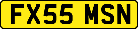 FX55MSN