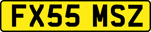 FX55MSZ