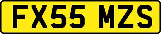 FX55MZS