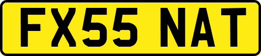 FX55NAT