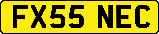 FX55NEC