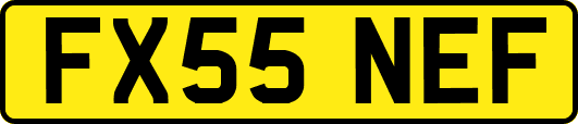 FX55NEF