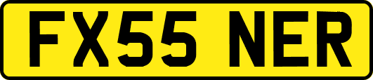 FX55NER