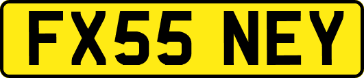 FX55NEY