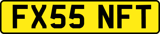 FX55NFT