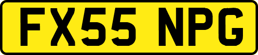 FX55NPG