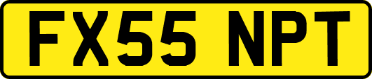 FX55NPT