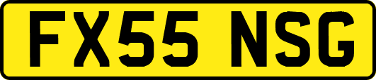 FX55NSG