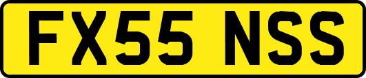 FX55NSS