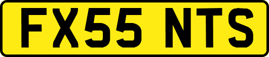 FX55NTS