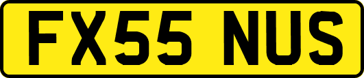 FX55NUS