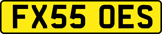 FX55OES
