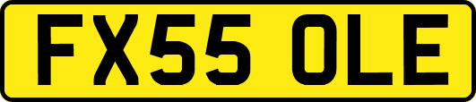 FX55OLE