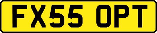 FX55OPT