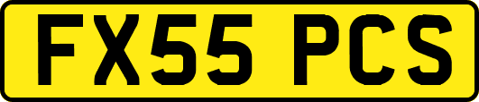 FX55PCS